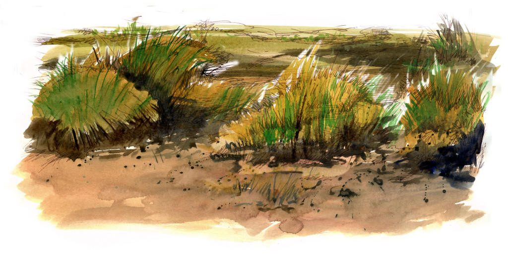dunes watercolor